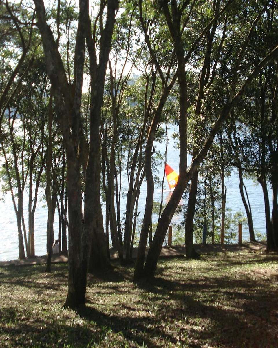 Represa vista entre as árvores do Parque Estoril, em São Bernardo do Campo.