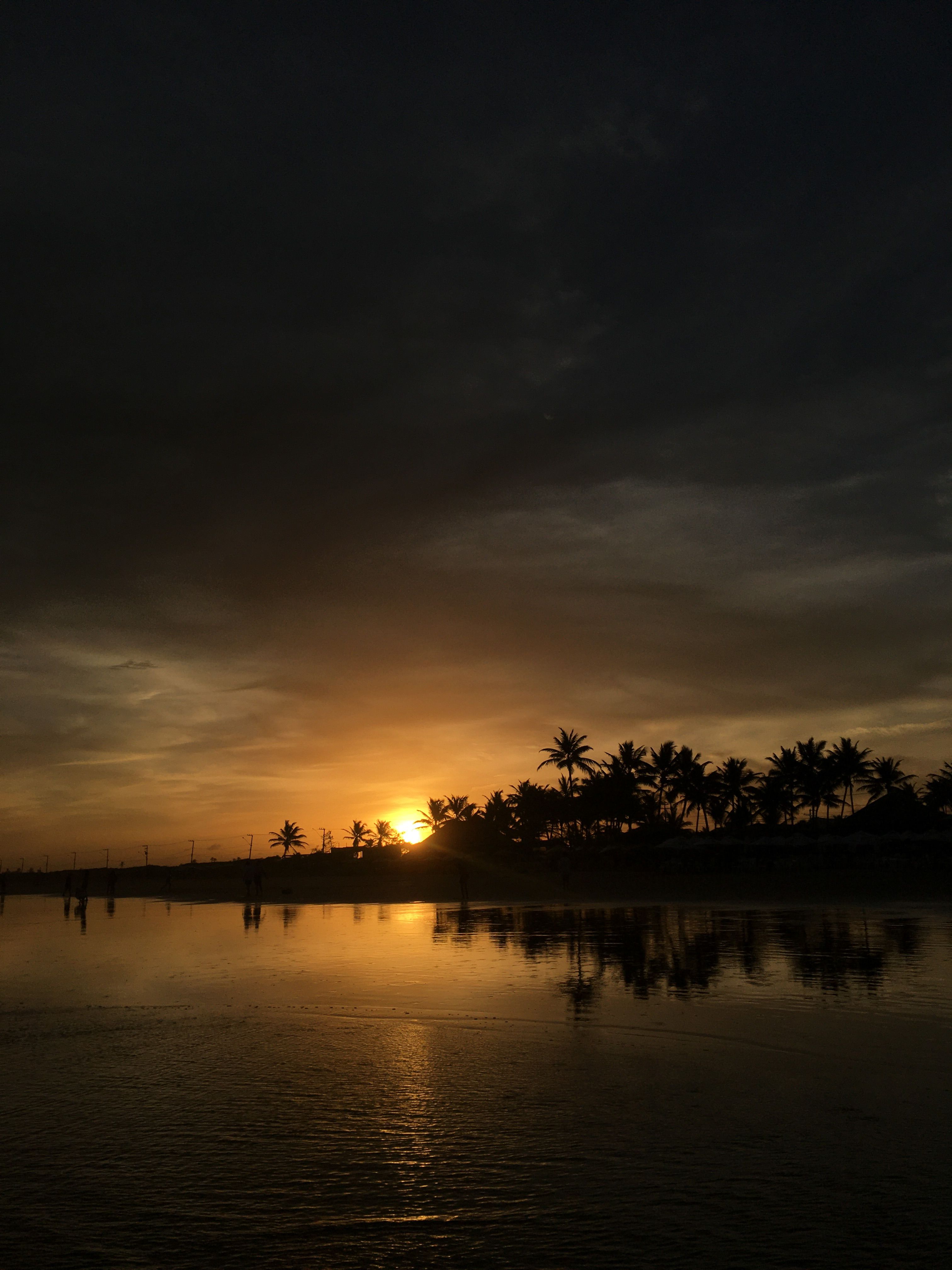Pôr do sol na Orla de Atalaia, em Aracaju, com uma árvore em primeiro plano e a ponte sobre o rio Sergipe ao fundo