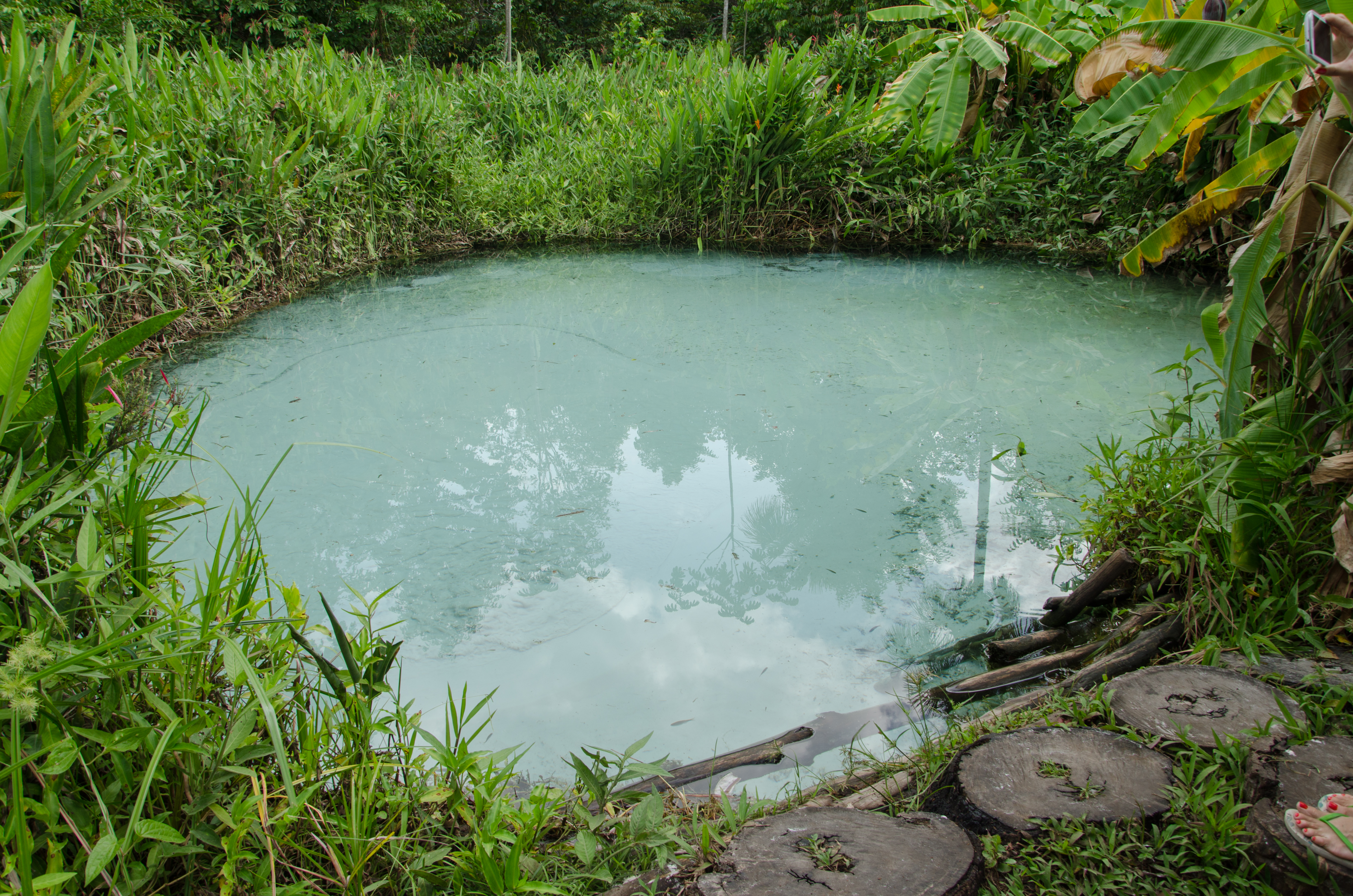 Fervedouro dos Buritis, poço de água azul-esverdeada cristalina cercado de vegetação, no Parque Estadual do Jalapão