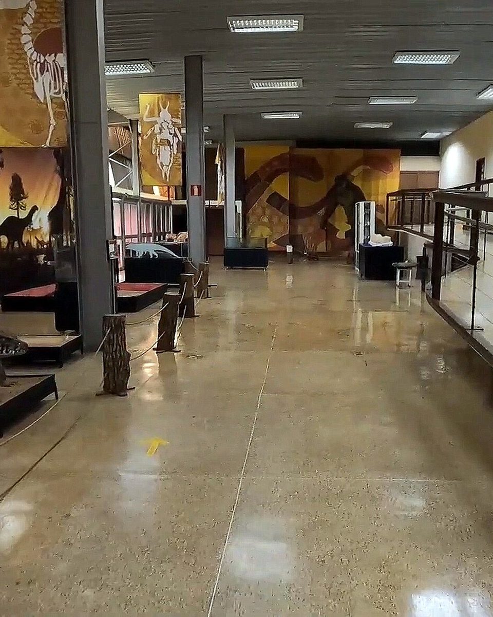 Salão do Museu dos Dinossauros, em Peirópolis, com réplicas de fósseis em vitrines baixas, painéis de paisagem pré-histórica nas paredes e um corredor com guarda-corpo de madeira.