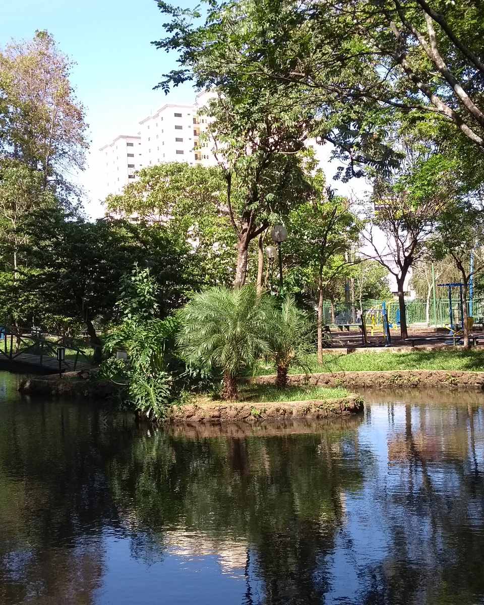 Lago do Parque Mata do Ipê, em Uberaba, com uma ponte de madeira, palmeiras numa ilhota, árvores fazendo sombra, o parquinho ao fundo e prédios residenciais atrás das copas.