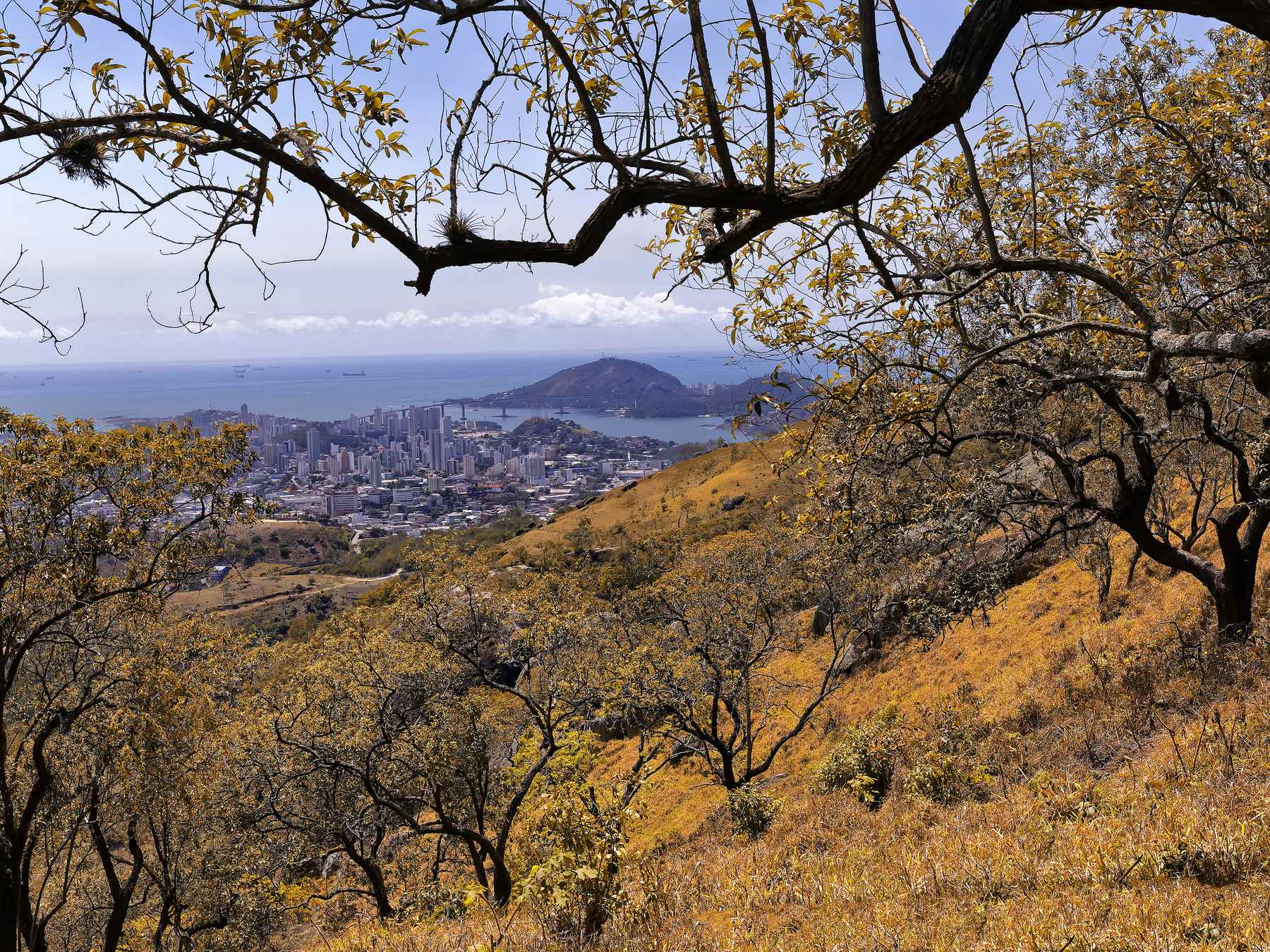 Vista da cidade de Vitória e do mar a partir da encosta do Parque Estadual da Fonte Grande, emoldurada por galhos e vegetação seca em primeiro plano.